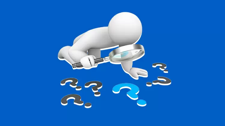 The Curious Investigator