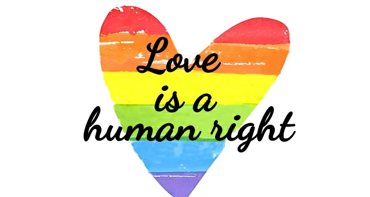 You seem not to know so much about LGBTQ.