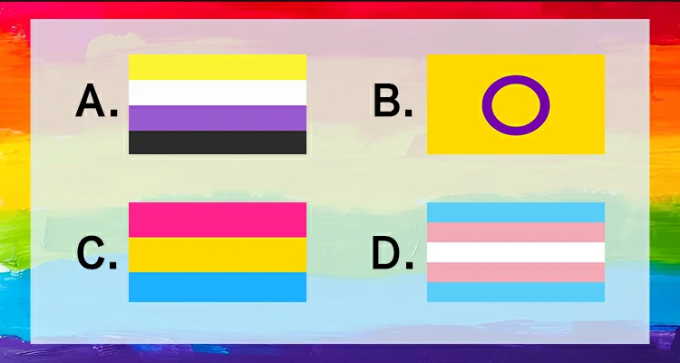 Select the Transgender Flag from the following flags.