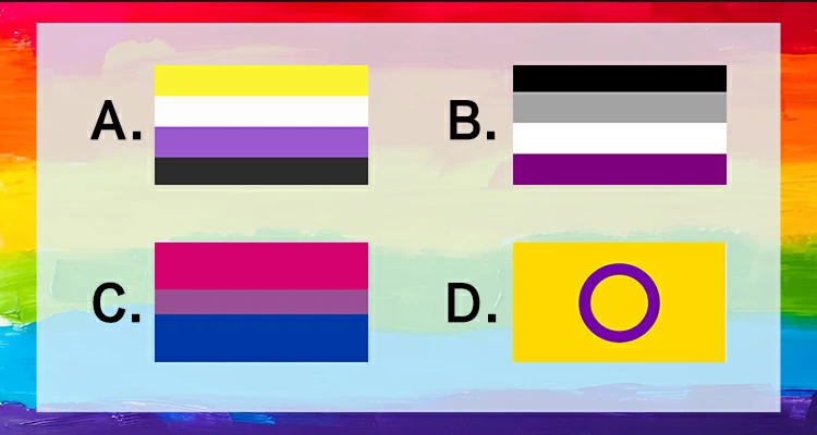 Select the Nonbinary Flag from the following flags.