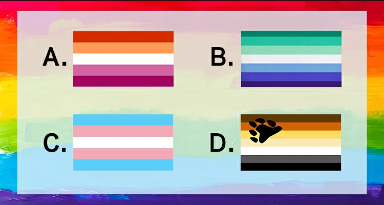 Select the Gay Men's Pride Flag from the following flags.