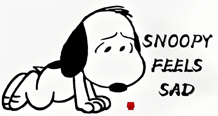 There are still a lot of things you do not know about dogs.