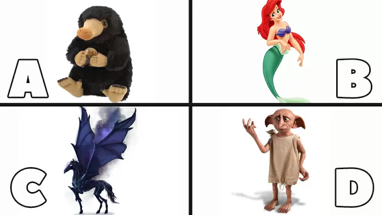 Which magical creature would you most like to befriend?