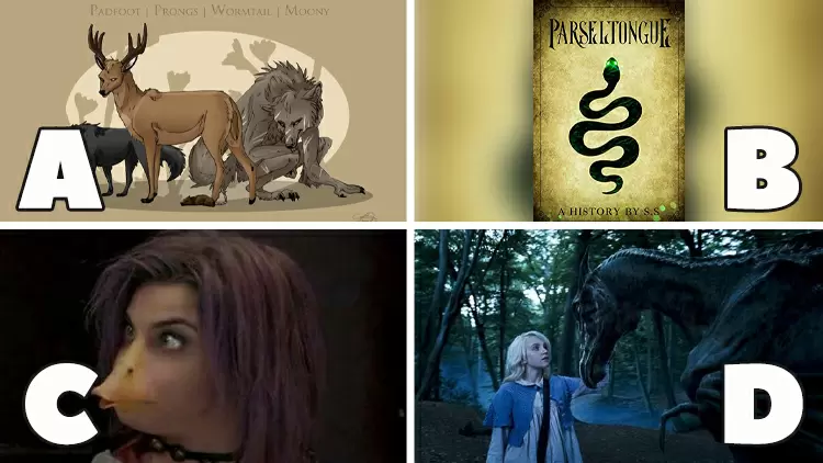 Which magical talent would you most like to possess?