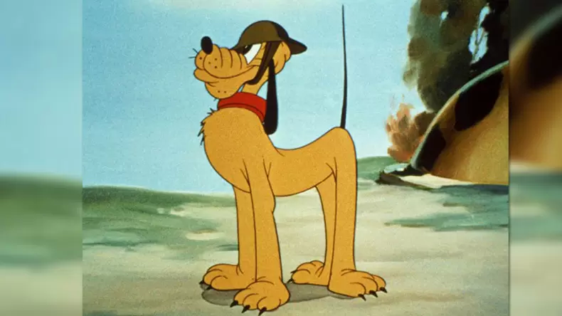 Which Disney Dog Are You?