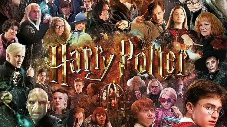 Which of these Harry Potter characters would you date?