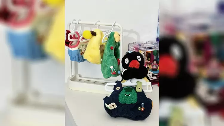 How would you organize your closet?