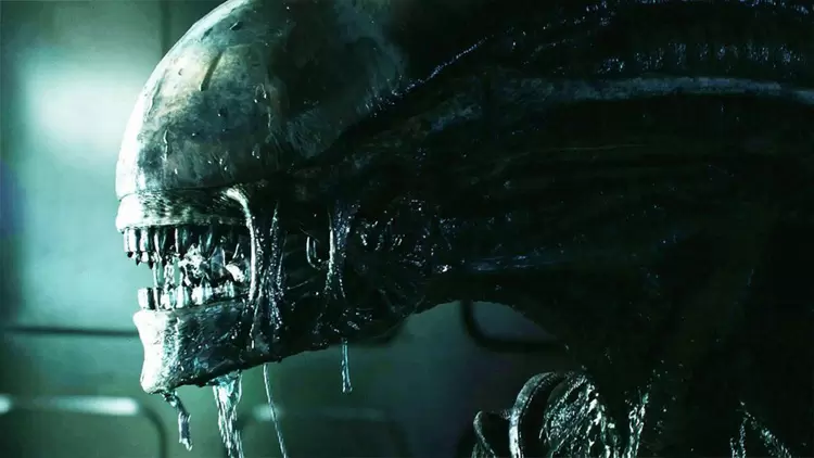 If you were stranded on a space station with a Xenomorph, what would be your first move?