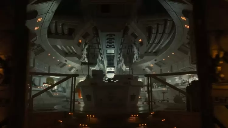 Upon discovering a derelict ship with potential Xenomorphs, what's your course of action?