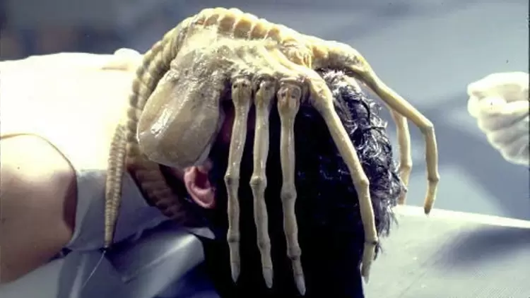 If you encountered a Xenomorph facehugger, how would you react?