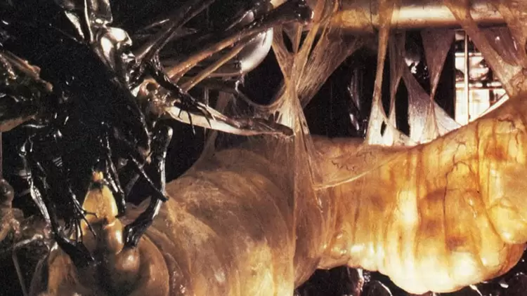 What would you do if you found Xenomorph eggs on the ship?