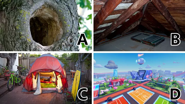 If you had a secret base, where would you want it to be?