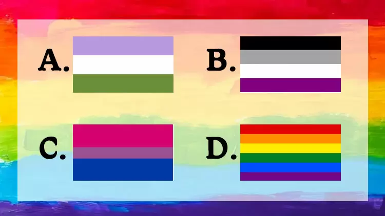 Please choose one of the following LGBTQ+ flags.