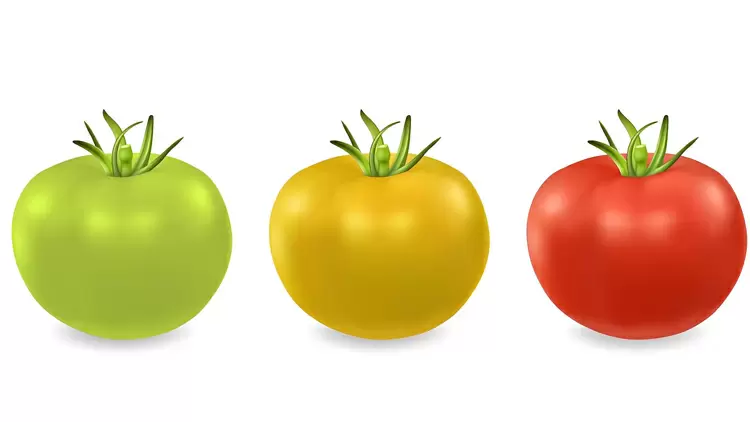 Please select the red tomato displayed in the image.