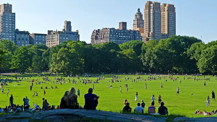 Suppose you are on a sunny afternoon, which of the following 5 things would you choose to do first?