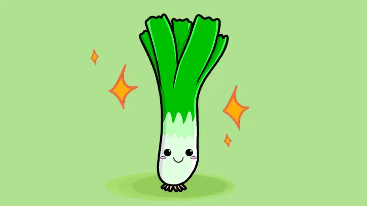 Spring Onion