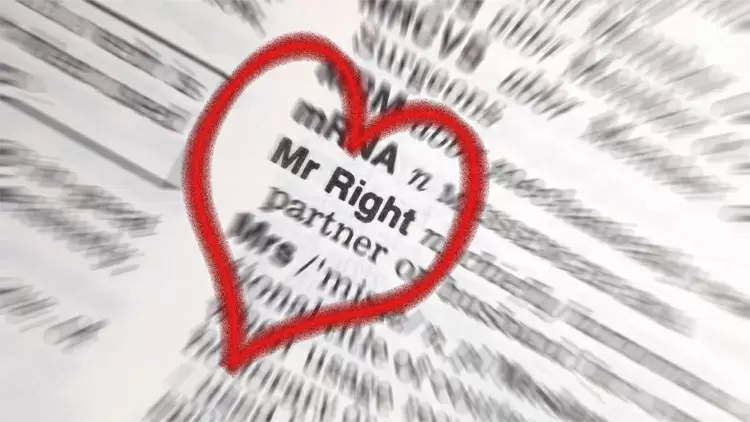 Your ideal partner is someone who is sunny and reliable. 