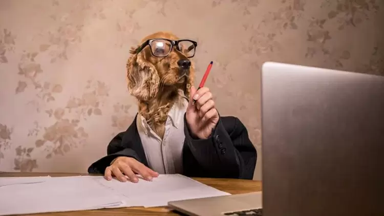 Do you avoid work that requires lots of reading or writing?