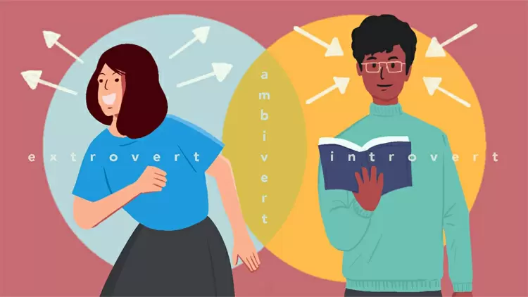 You are an "Ambivert" - a perfect balance of Introversion and Extroversion.