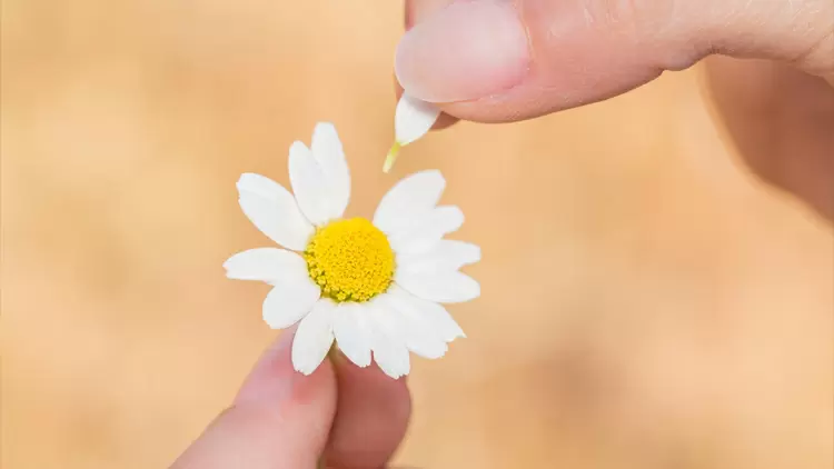 He seems to view you more as a friend. 