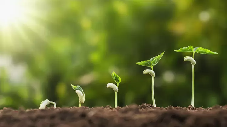 I tend to break tasks down into clear small goals.