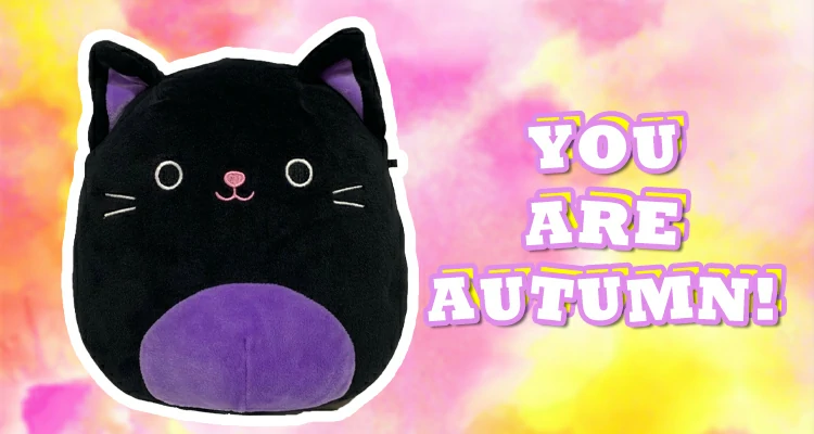 Autumn the Black Cat