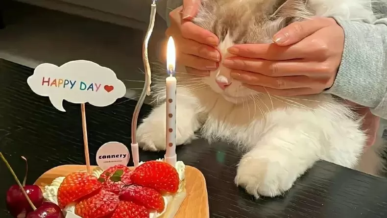 Discover Your Pet's Hidden Secrets: Take the Quiz!