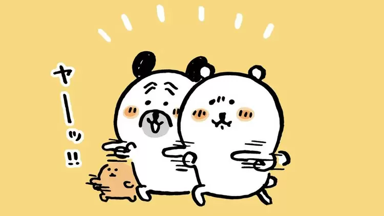 If you get lost in the forest, what would you do?