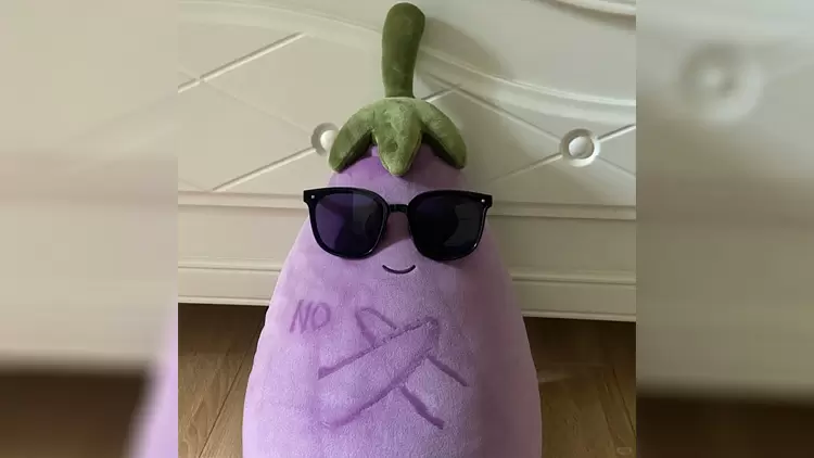 If you could transform into any sea creature, what would you choose?  