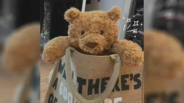 If you were exiled to a different planet, what kind of environment would you prefer?  